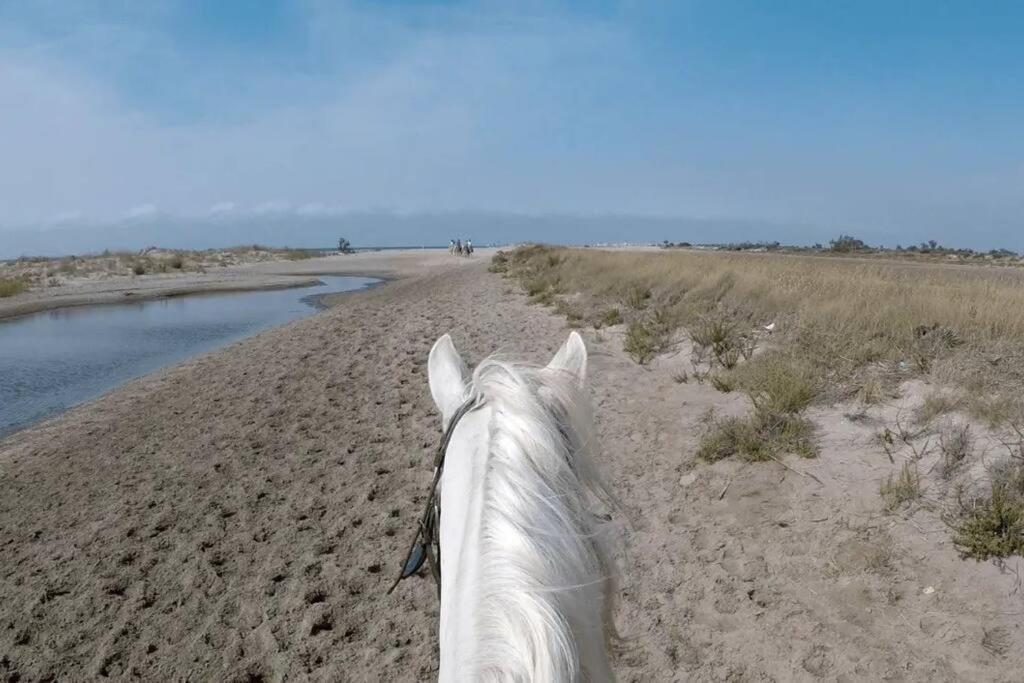 "Le Nature" Camargue Jardin Arlés Exterior foto