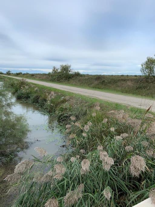 "Le Nature" Camargue Jardin Arlés Exterior foto